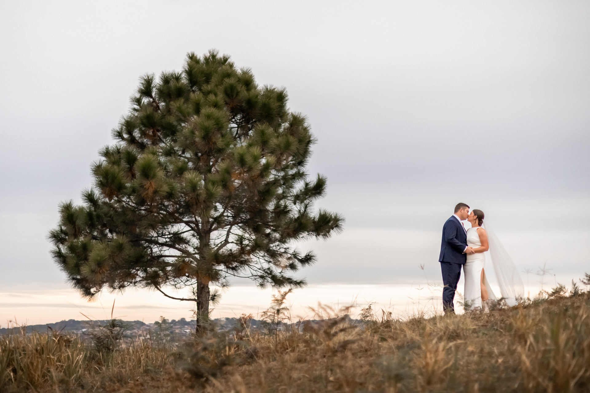 Tweed Coast hinterland Farm Wedding Venue | Pioneer Country