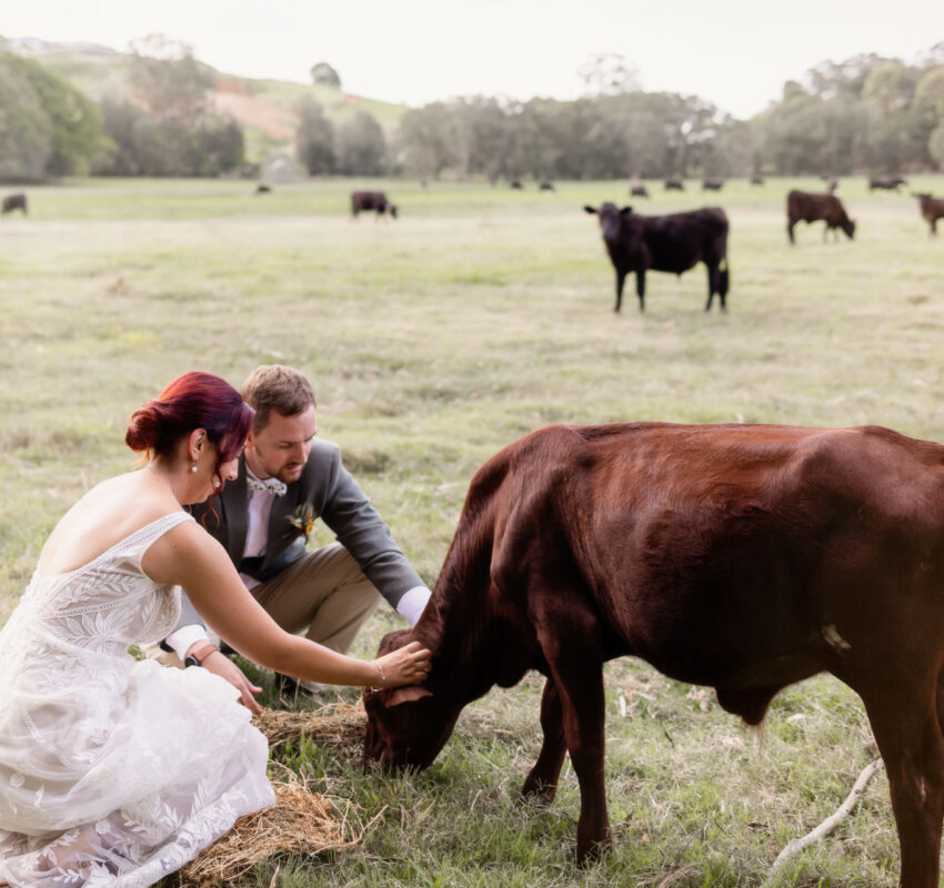 Tweed Heads Wedding | Stef & Josh
